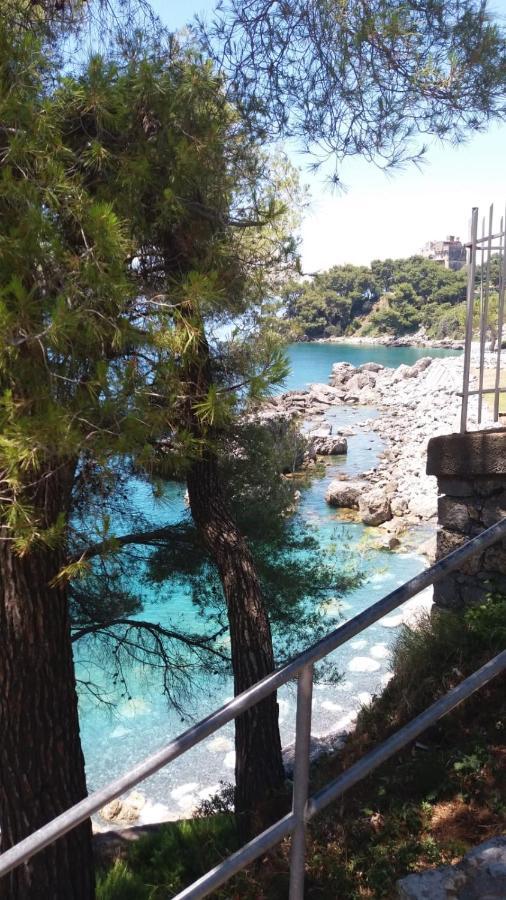 Thea Maris Villa Maratea Exteriör bild